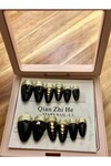 Kadın 12 li Takma Tırnak Seti Gold-Simli eb936