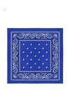 Saks Rengi Unisex Desenli Bandana Cd136